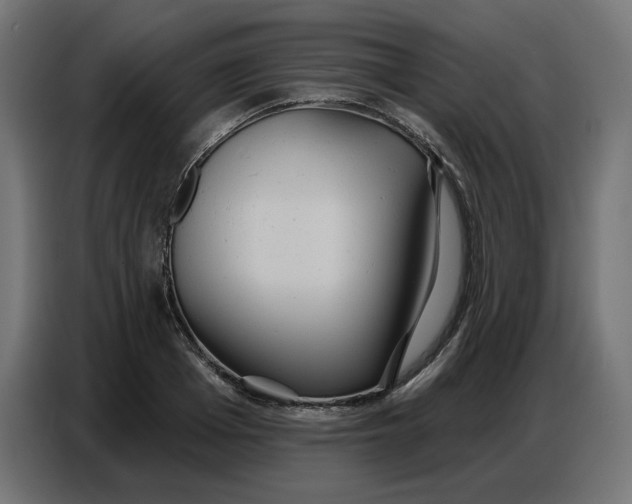 X0000086750985200705041424