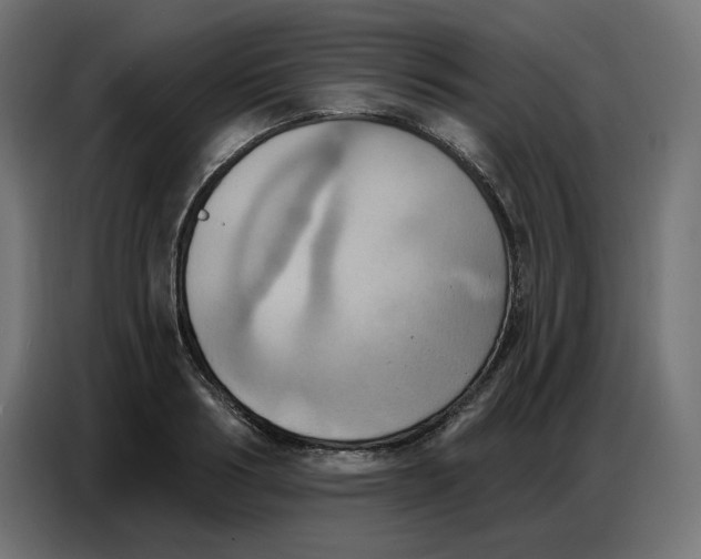 X0000086750986200705041424