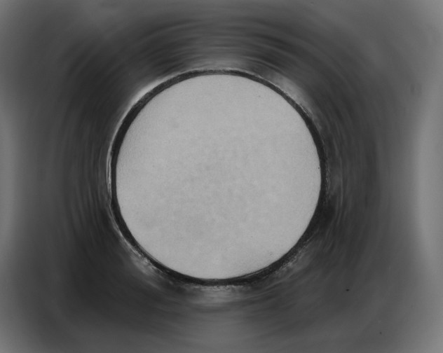 X0000086750988200705041424