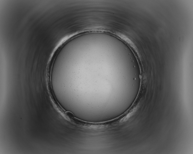 X0000086750989200705041424