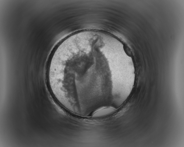 X0000086750991200705041424