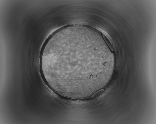 X0000086750992200705041424