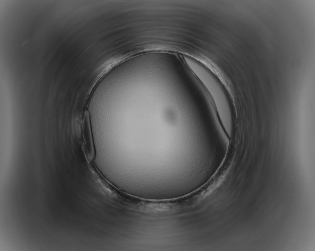 X0000086750993200705041424