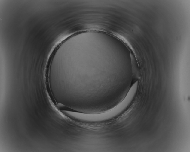 X0000086750995200705041424