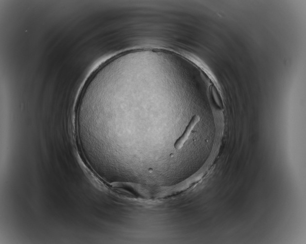 X0000086750996200705041424