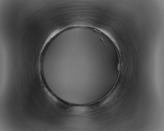 X0000086750998200705041424