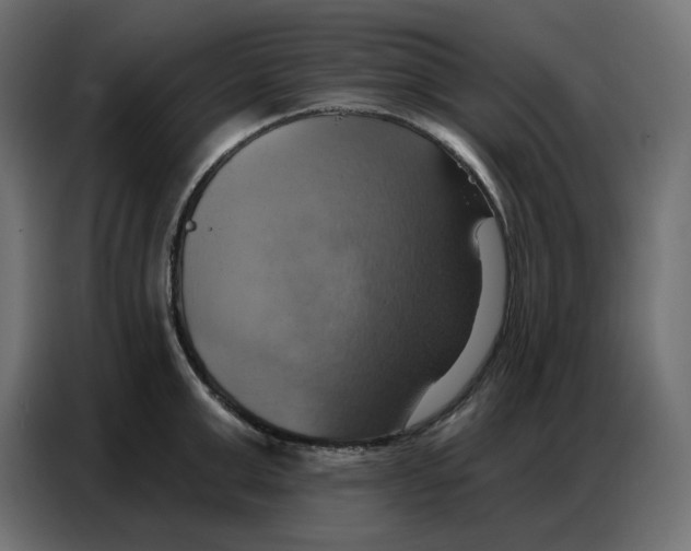 X0000086750999200705041424