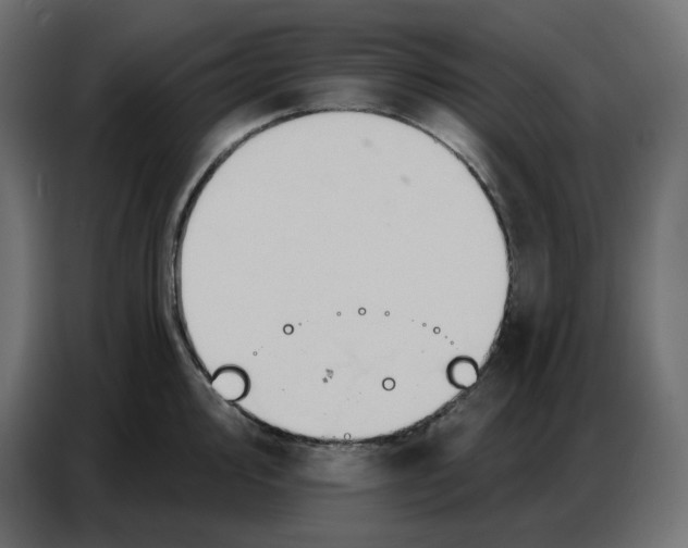 X0000086751000200705041424