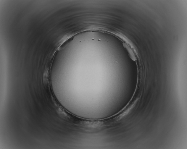 X0000086751001200705041424