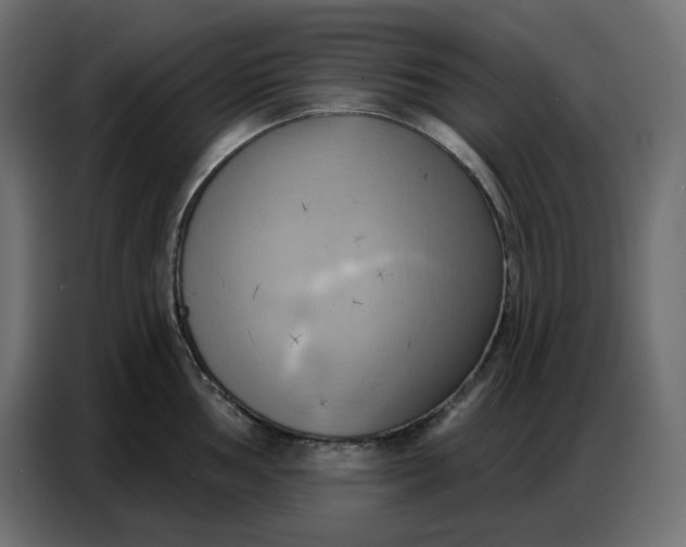 X0000086751002200705041424