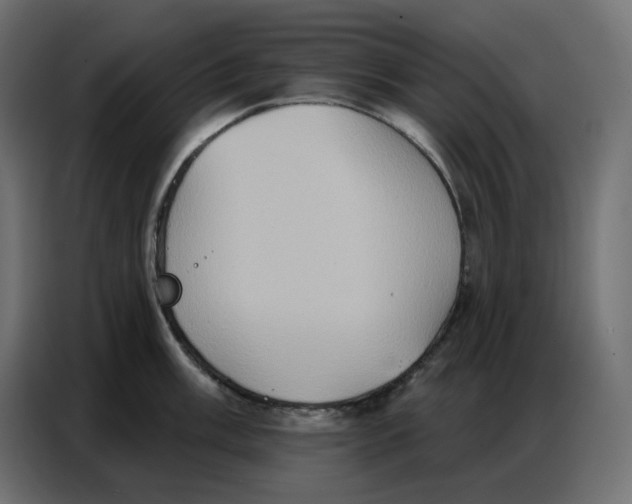 X0000086751003200705041424