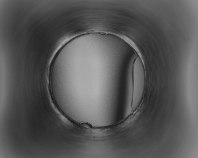 X0000086751005200705041424