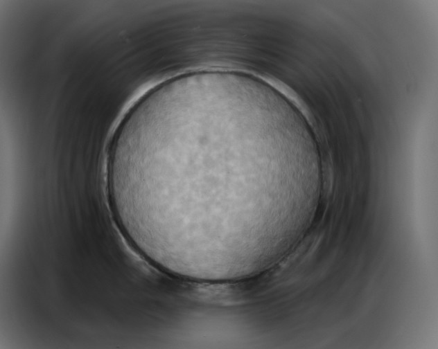 X0000086751006200705041424