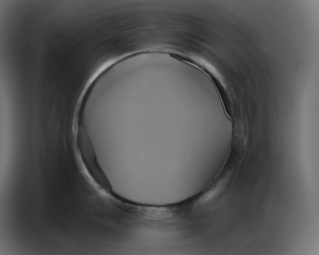 X0000086751007200705041424