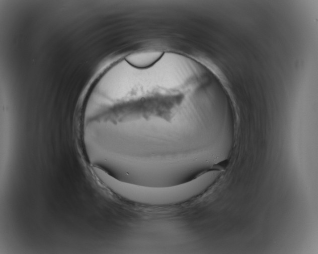 X0000086751008200705041423