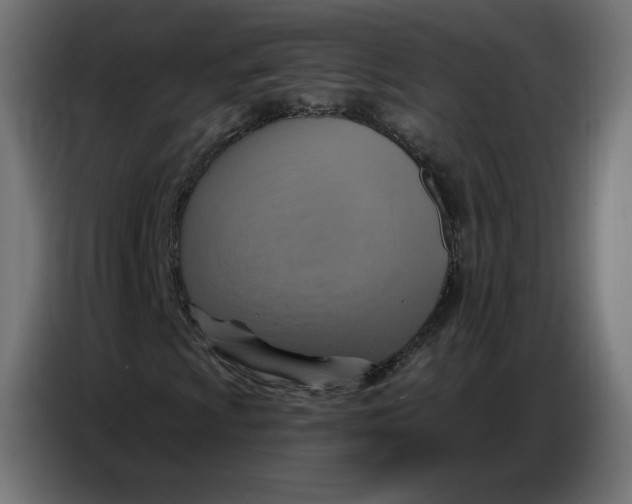 X0000086751009200705041423