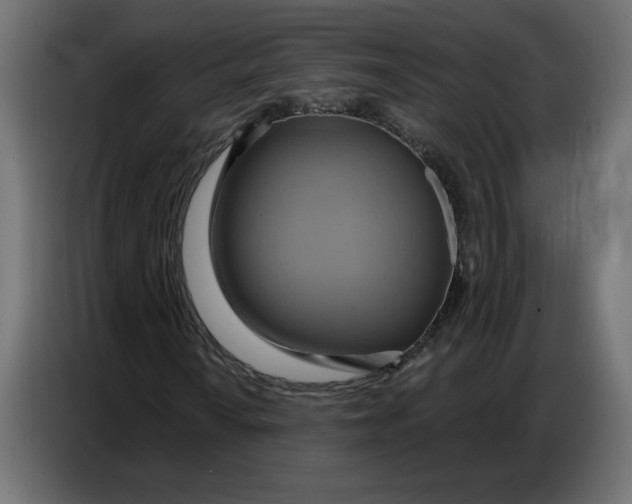 X0000086751010200705041423