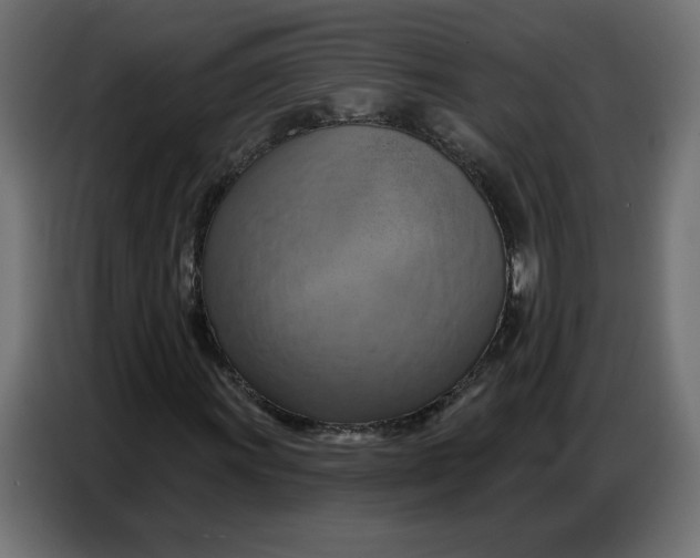 X0000086751011200705041423