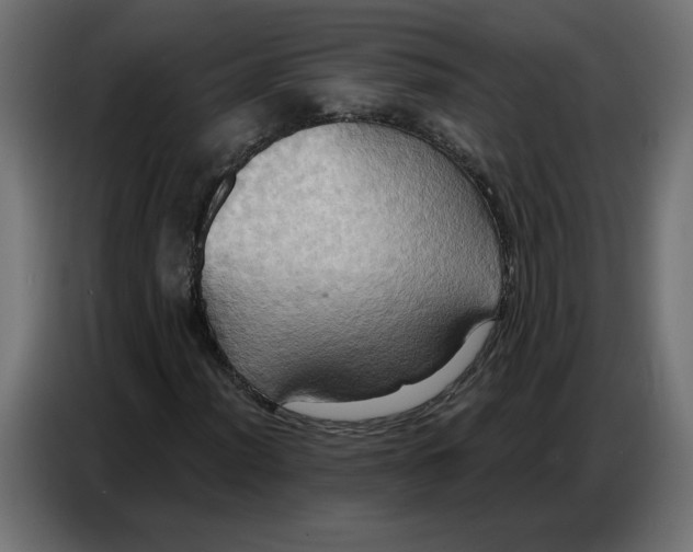 X0000086751012200705041423