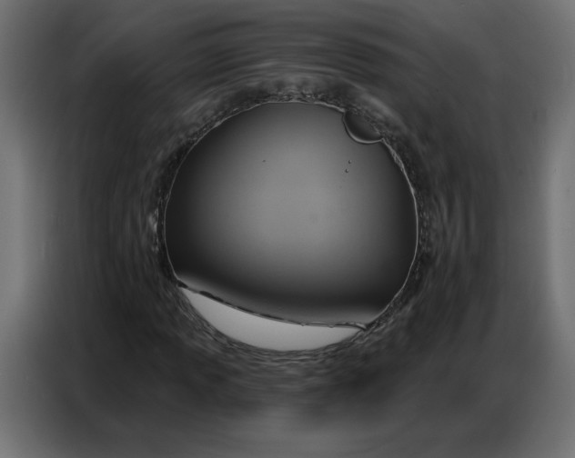 X0000086751013200705041423