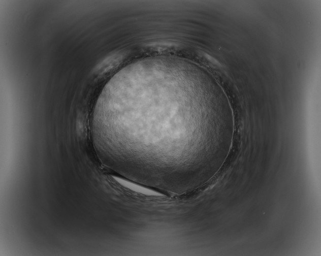 X0000086751014200705041423