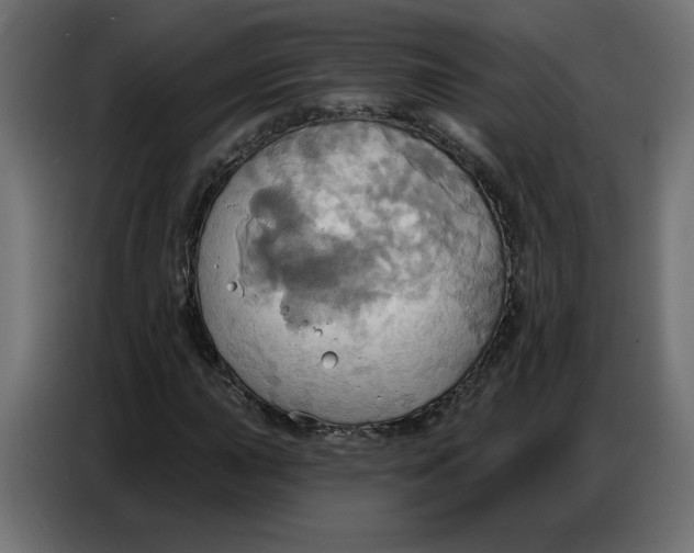 X0000086751015200705041423