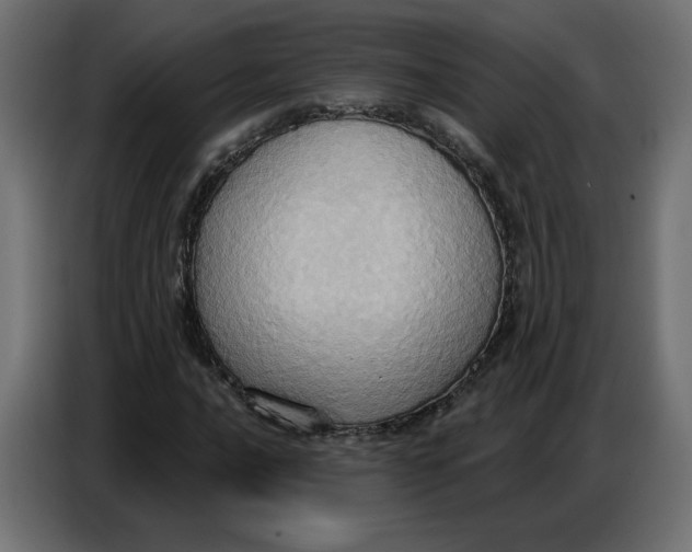 X0000086751016200705041423