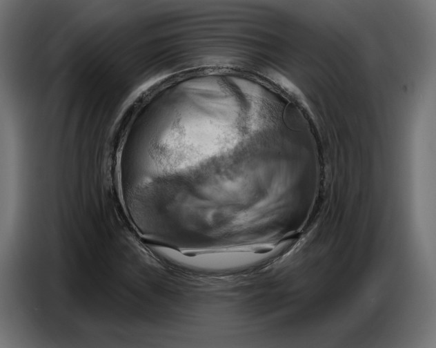 X0000086751019200705041423