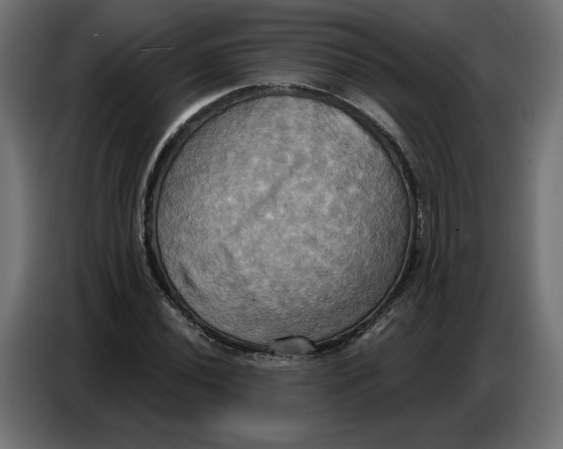 X0000086751020200705041423