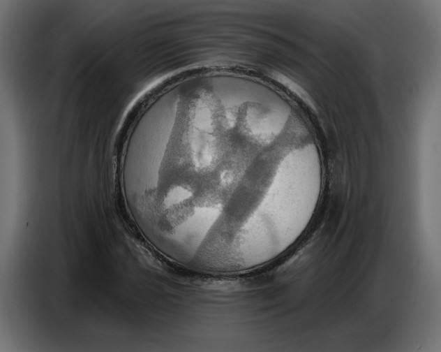 X0000086751021200705041423