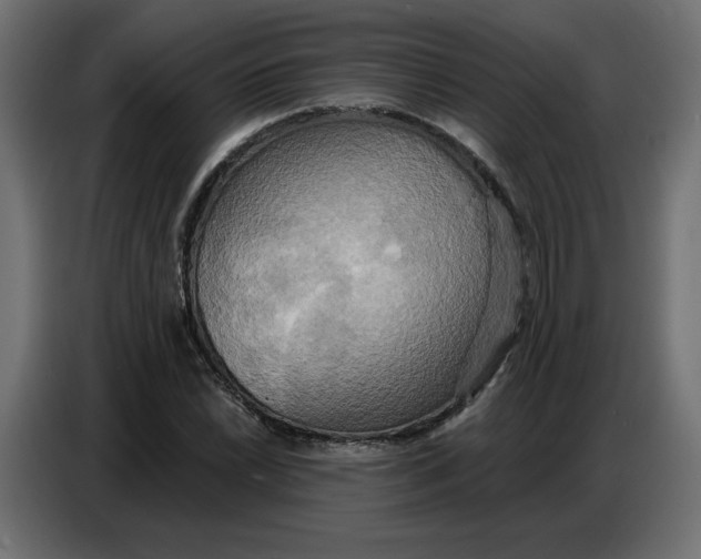 X0000086751022200705041423