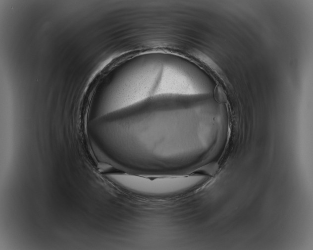 X0000086751023200705041423