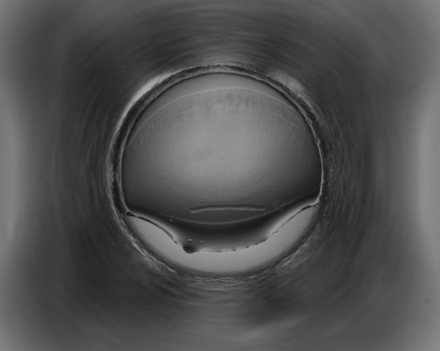 X0000086751024200705041423