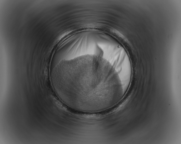 X0000086751025200705041423