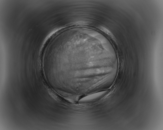 X0000086751027200705041423