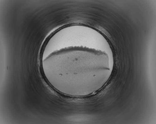 X0000086751028200705041423