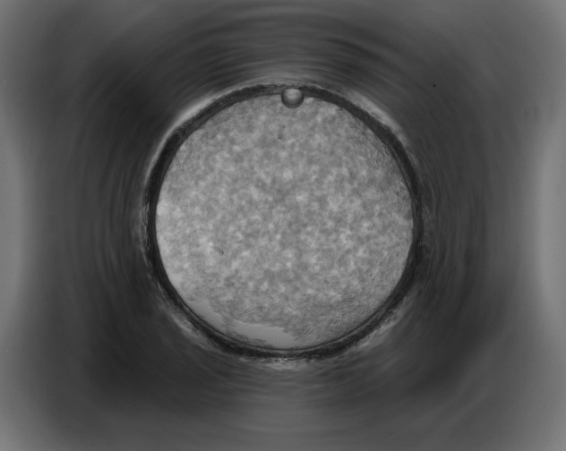 X0000086751029200705041423