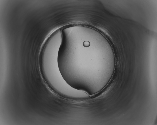 X0000086751030200705041423