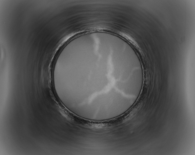 X0000086751031200705041423