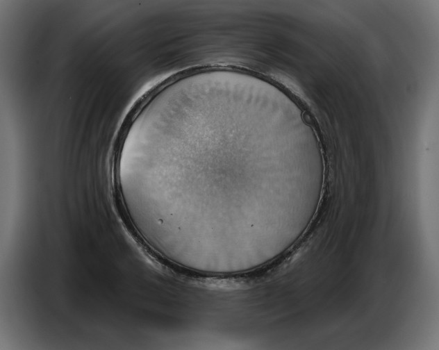 X0000086751032200705041423