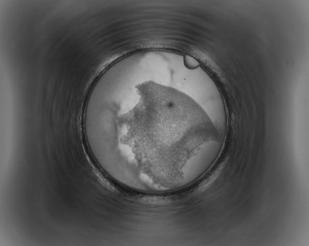 X0000086751033200705041423