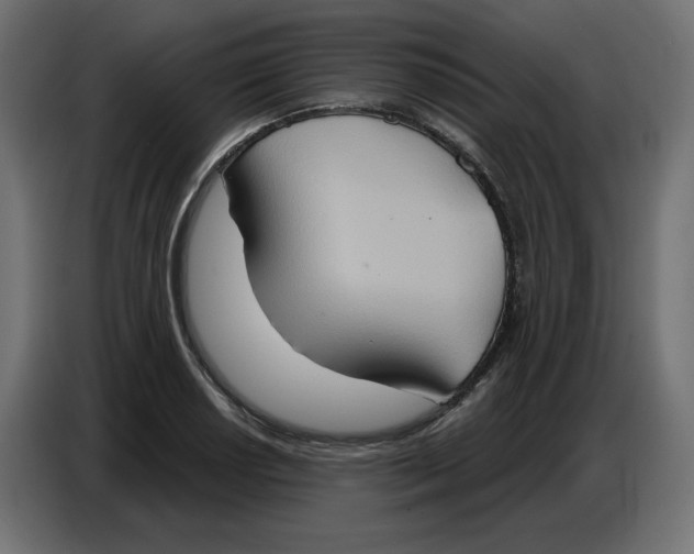 X0000086751034200705041423