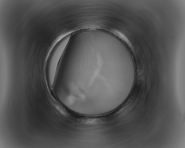 X0000086751035200705041423