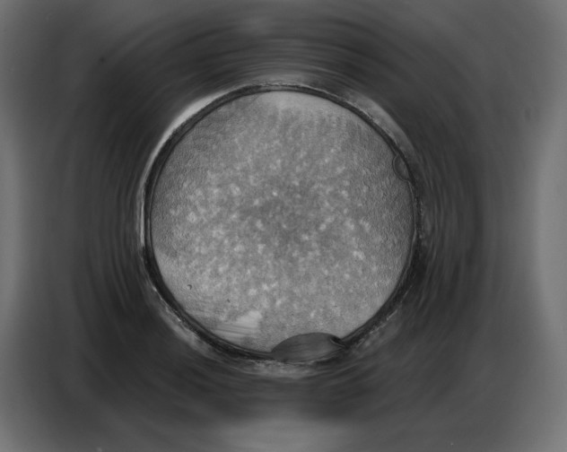 X0000086751036200705041423