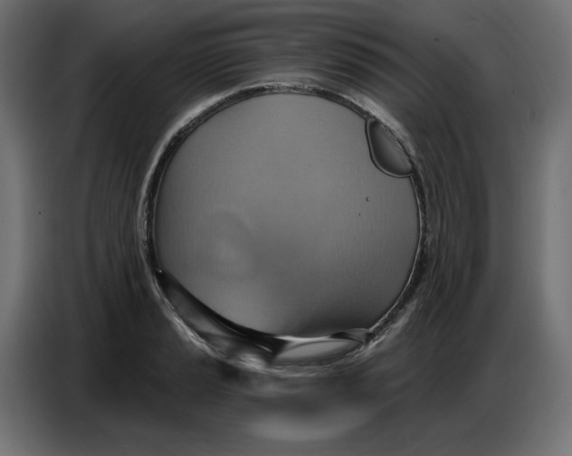 X0000086751037200705041423