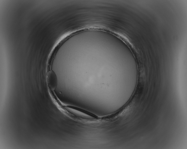 X0000086751038200705041423