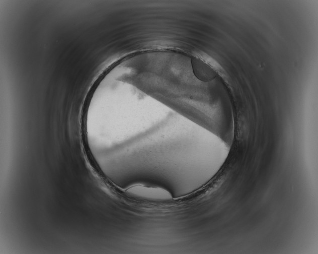 X0000086751039200705041423