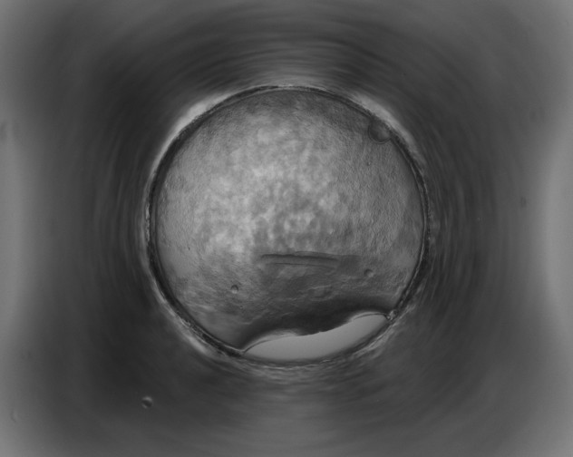 X0000086751040200705041423