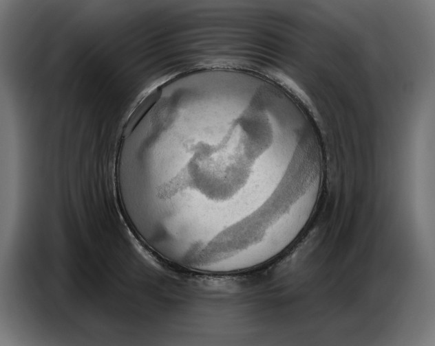 X0000086751041200705041423