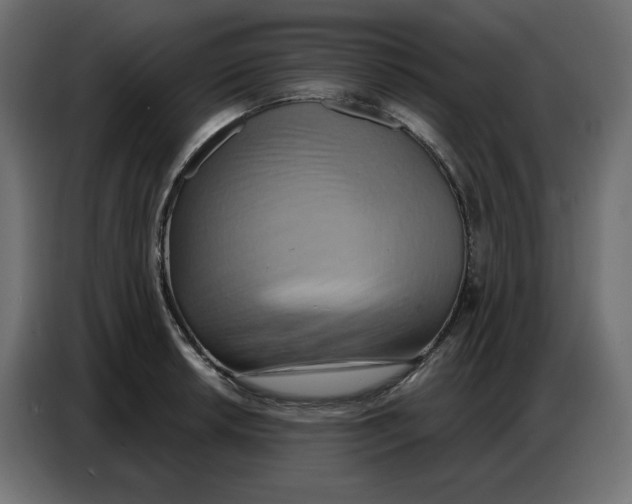 X0000086751042200705041423